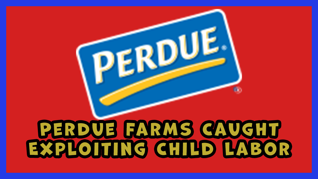 Perdue Farms Profits Over Childhood